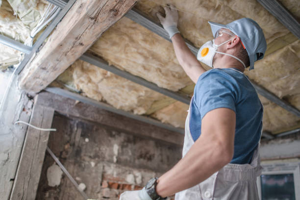 Best Cellulose Insulation in Shingletown, CA